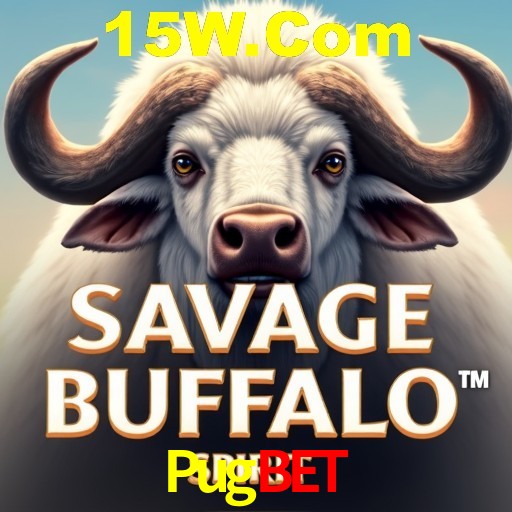 A Experiência Imersiva dos Cassinos Ao Vivo no Pugbet