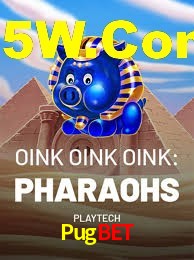 Crash Games Strategies Pugbet